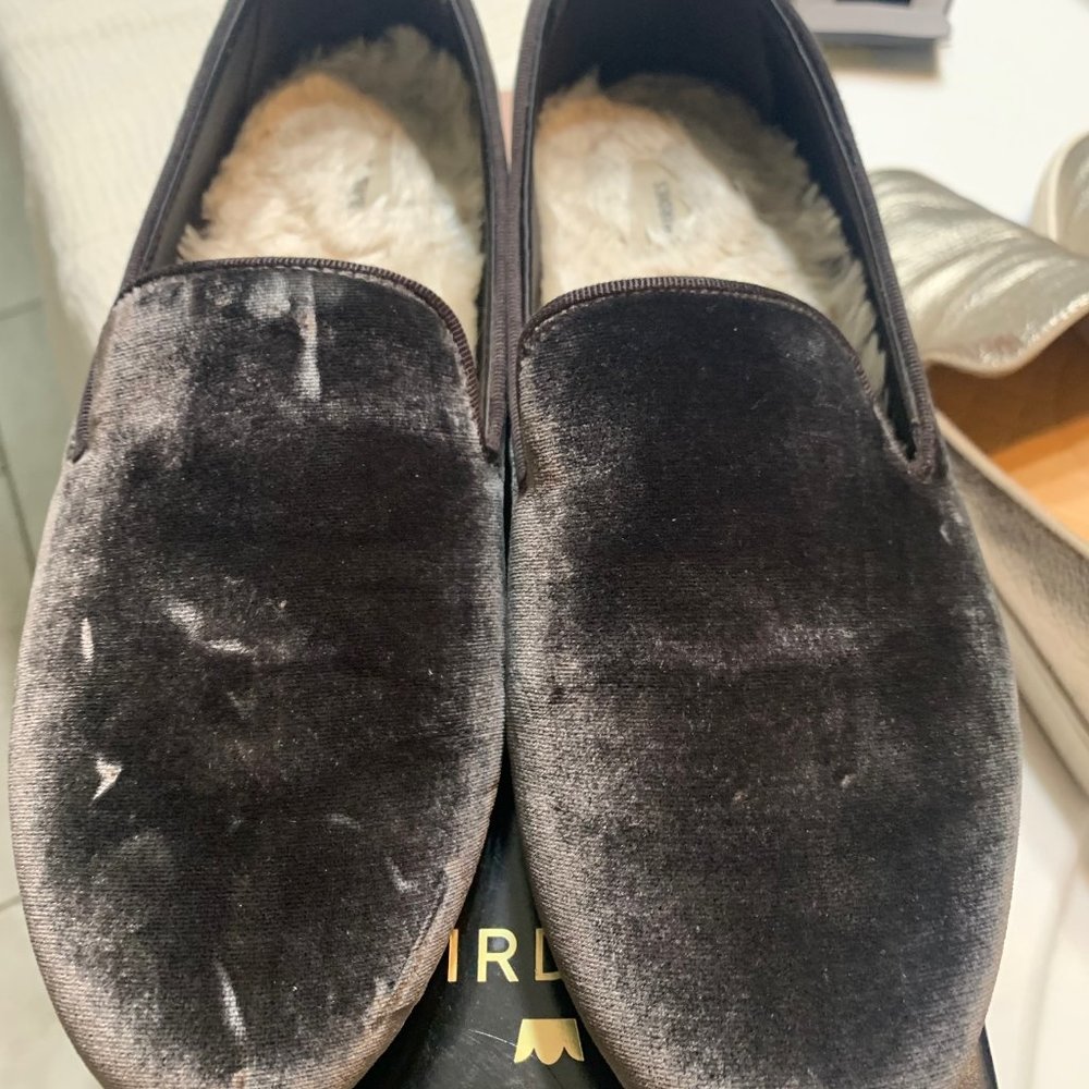 Grey velvet Birdie loafers